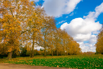 Plakat Beautiful Kensington Gardens the Royal Parks for walked and relaxed, London