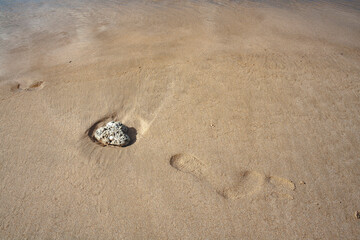 Sandy beach with a rock and a footprint in the Philippines