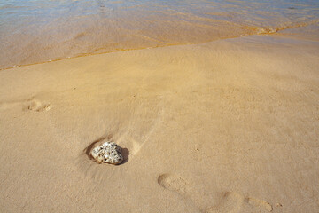 Sandy beach with a rock and a footprint in the Philippines