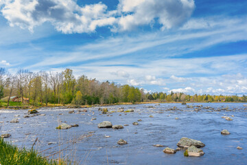 Delta of Dalalven river in southern norrland. Spring in Sweden. Scandinavian landscape.