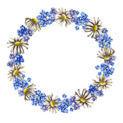 Wreath of watercolor wildflowers. Hand drawn illustration is isolated on white. Round floral frame is perfect for linens design, greeting card, wedding invitations, interior poster, fabric textile