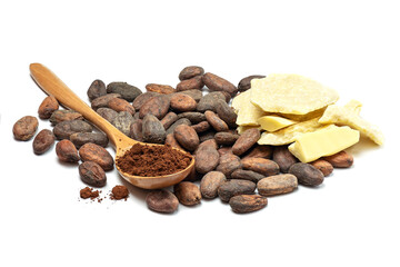 Raw cocoa beans, cocoa butter and spoon with cocoa powder. Chocolate ingredients isolated on white background.