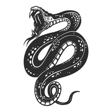 Illustration of poisonous snake  in engraving style. Design element for logo, label, emblem, sign, badge. Vector illustration