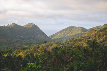 Fototapeta premium Beautiful landscape in Cebu near to Osmena Peak, Philippines