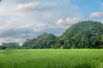Sipalay, Negros Island, Visayas and The Philippines