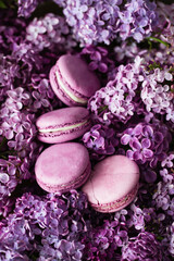 Obraz na płótnie Canvas macaroons on lilac flowers. Delicious dessert.