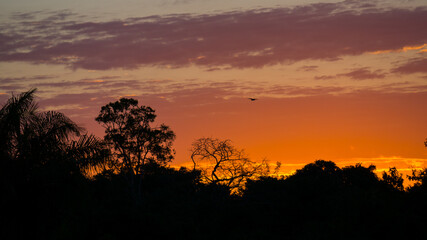 Sunset in pantanal