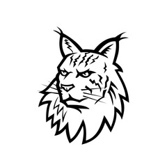 Head of Maine Coon Cat Mascot Black and White