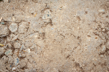 Old Dirt Rough Cement Wall Grunge Background, Backdrop. Abstract Aged Textured Pattern