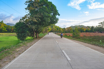 Fototapeta na wymiar A road with rice fields around, Cebu, Philippines