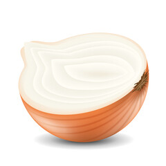 Fresh onion isolated