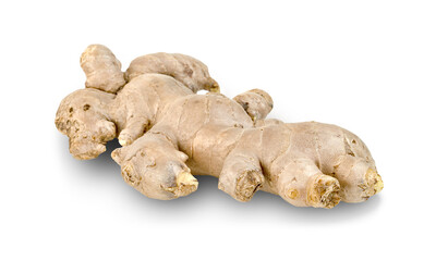 fresh ginger root isolated on white background