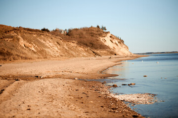 view of the beach