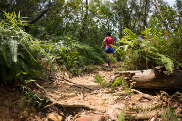 Naklejka na ściany i meble Woman ultra marathon runner running on tropical forest trail