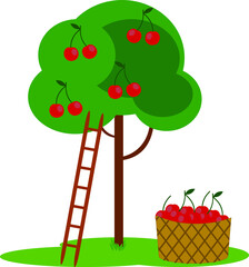 An illustration of a cherry tree, a ladder and a basket full of cherries.