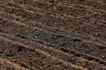 Beautiful photo of freshly plowed land.