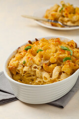Traditional North American dish. Baked pasta with cheese.