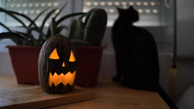 Melon de halloween con un gato negro de fondo y una vela iluminando