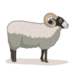 Vector illustration, silhouette of a sheep. The image of the animal in the pasture, agriculture and farm