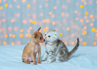 Fototapeta na wymiar Little cute puppy sniffs a striped kitten at home on a blanket in the background of lights