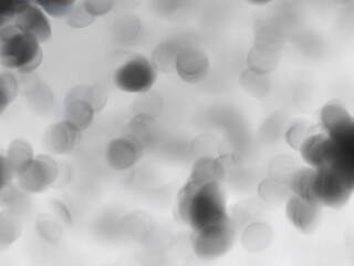 concept corona virus or covid-19 microscope blood cells