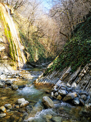 beautiful green Mammadovo gorge nature in Sochi
