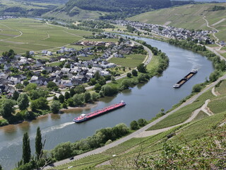 Schifffahrt auf der Mosel bei Köwerich und Klüsserath