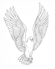 contour of a flying eagle graphic illustration