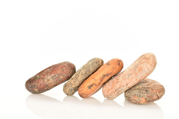 Organic, natural cocoa beans, close-up, on a white background.