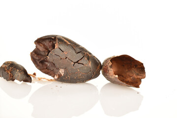 Organic, natural cocoa beans, close-up, on a white background.