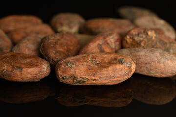 Organic, natural cocoa beans, close-up, on a white background.