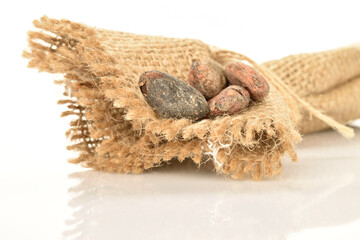 Organic, natural cocoa beans, close-up, on a white background.