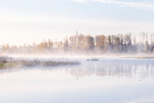Morning fog on the river. Landscape photography.