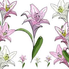 Lily, Greeting card with white background.