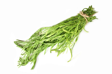 bunch of fresh green dill
