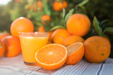 orange juice and oranges on table in orchard