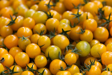 Cherry tomato