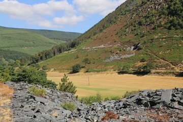 Fototapeta na wymiar Dry summer grass and a beautiful mountain view in the Llefenni Valley, Aberllefenni 