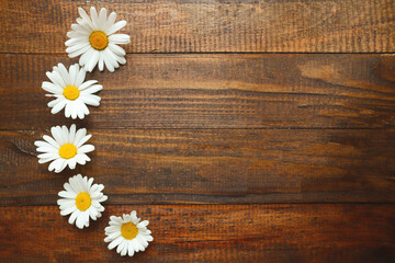 Camomiles /daisies on a wooden background. Floral background. Summer spring concept. Flowers composition. Background, texture. Top view, flat lay, copy space for text