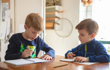 Brothers learning at home, Homeschooling	
