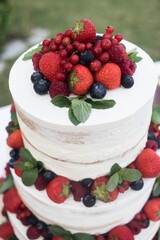 cake with berries