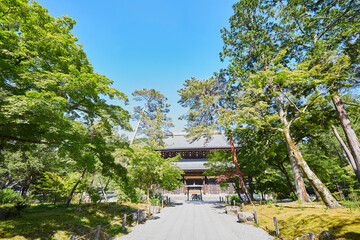 Fototapeta premium 南禅寺