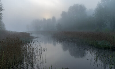 Fototapeta na wymiar landscape with fog in the morning, mystical fog on the river, blurred grass and tree contours