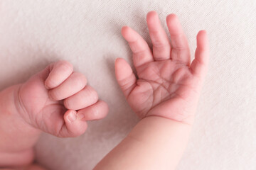 newborn hand 