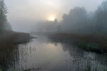 landscape with fog in the morning, mystical fog on the river, blurred grass and tree contours