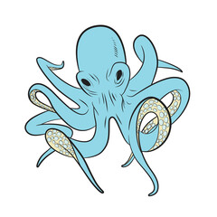 Vector illustration of octopus on white background.