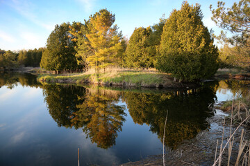 Fototapeta na wymiar River Scenic near Peterborough Ontario