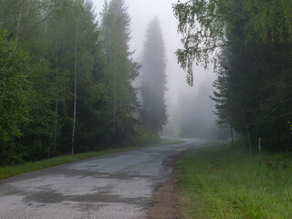 Obraz premium landscape with an empty road turn, along the edges of tree silhouettes in the fog