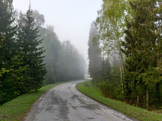 Fototapeta premium landscape with an empty road turn, along the edges of tree silhouettes in the fog