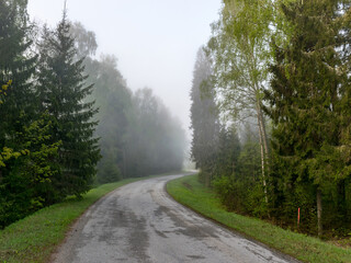 Fototapeta na wymiar landscape with an empty road turn, along the edges of tree silhouettes in the fog